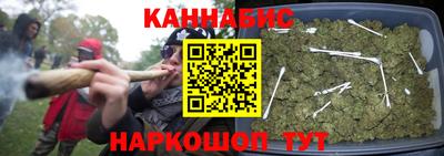 стафф Заволжье