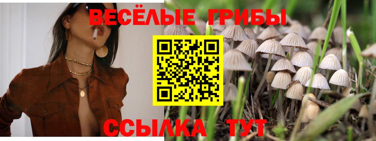 Гусиноозёрск  Галлюциногенные грибы MAGIC MUSHROOMS  Вход с VPN 